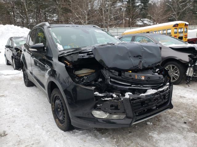 Ford Escape tit (2014)