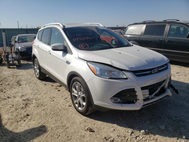 Ford Escape tit (2014)