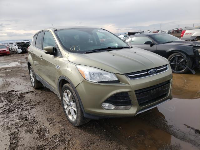 Ford Escape sel (2013)