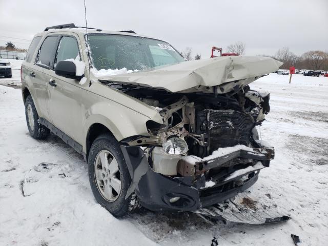 Ford Escape xlt (2011)
