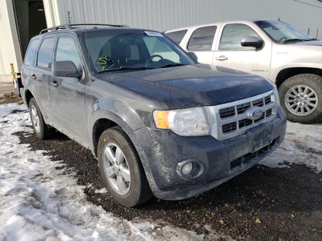 Ford Escape xlt (2011)