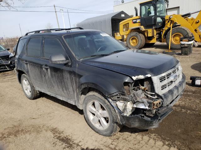 Ford Escape xlt (2011)