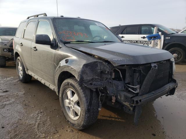 Ford Escape xlt (2010)
