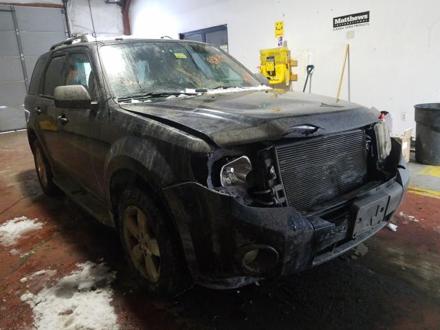 Ford Escape xlt (2010)