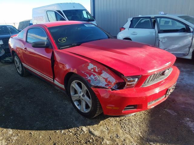 Ford Mustang (2010)