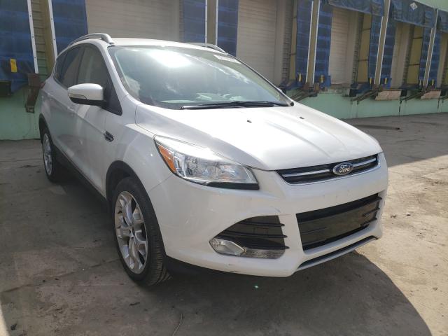 Ford Escape tit (2014)