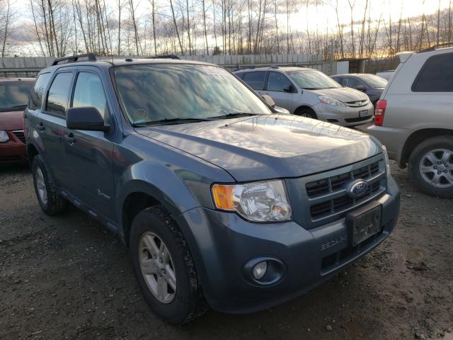 Ford Escape hyb (2011)