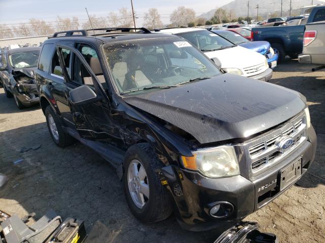 Ford Escape xlt (2011)