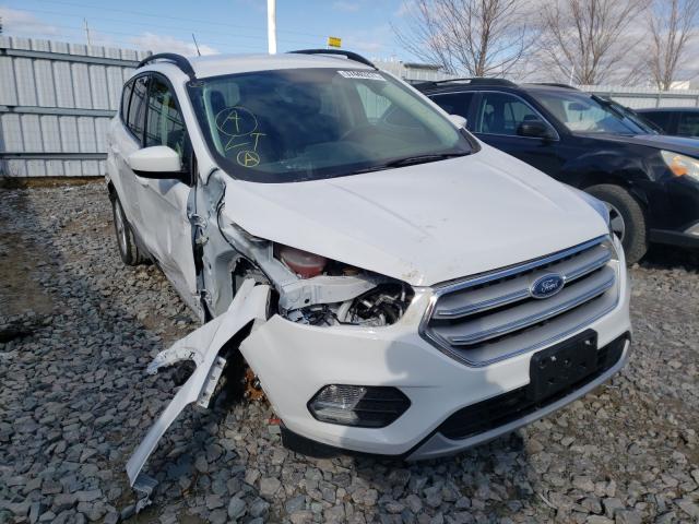 Ford Escape sel (2019)