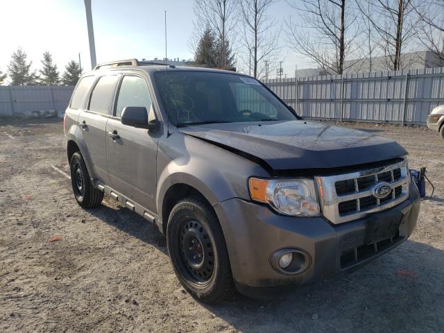 Ford Escape xlt (2010)