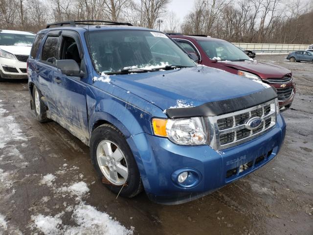 Ford Escape xlt (2010)