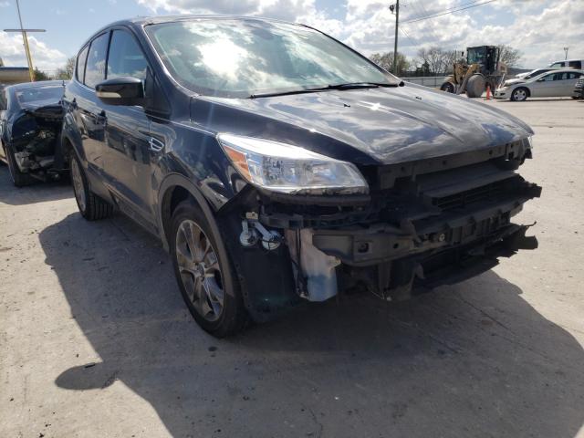 Ford Escape sel (2013)