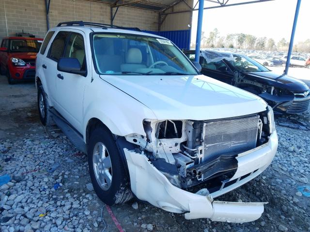 Ford Escape xlt (2010)
