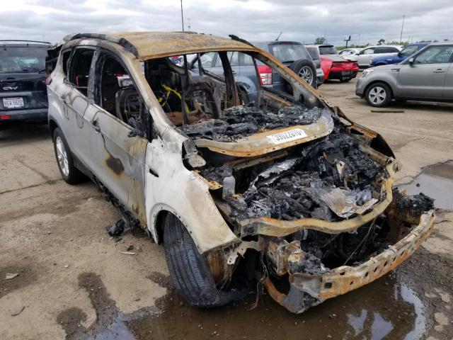 Ford Escape sel (2019)