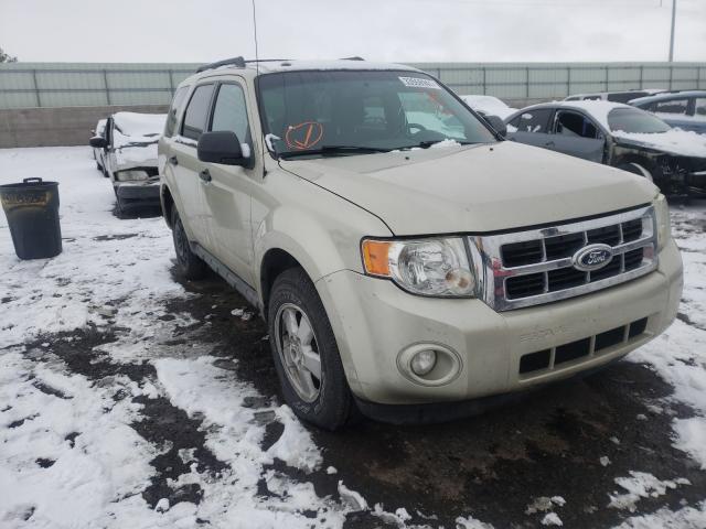 Ford Escape xlt (2010)
