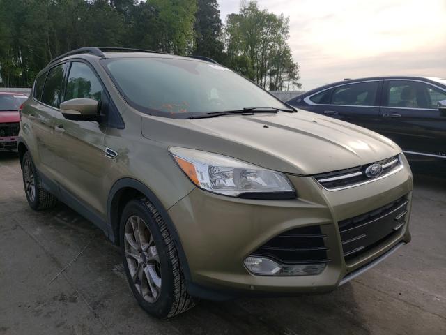 Ford Escape sel (2013)