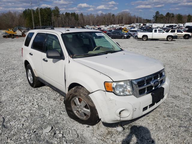 Ford Escape xlt (2010)