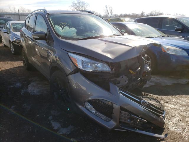 Ford Escape tit (2014)