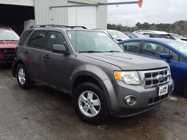 Ford Escape xlt (2010)