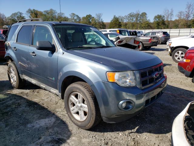 Ford Escape hyb (2011)