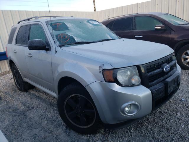 Ford Escape xlt (2011)