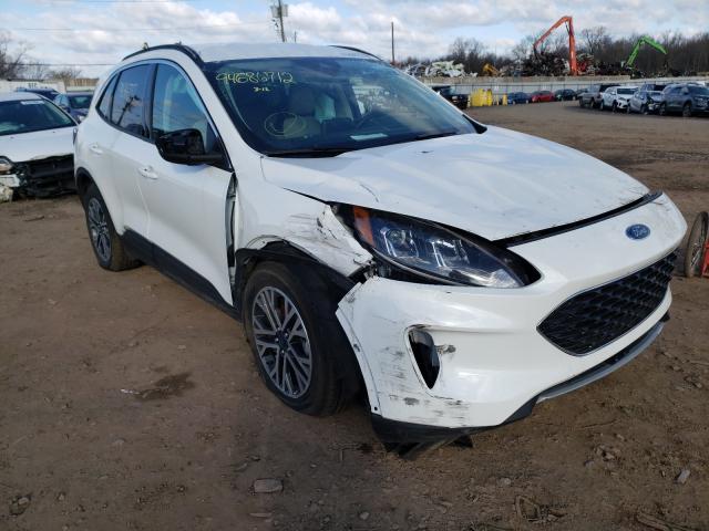 Ford Escape sel (2020)