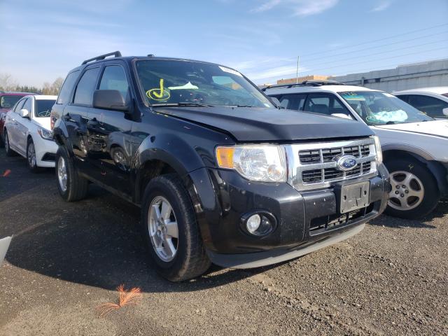 Ford Escape xlt (2011)