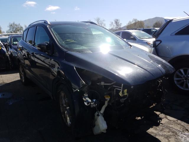 Ford Escape tit (2014)