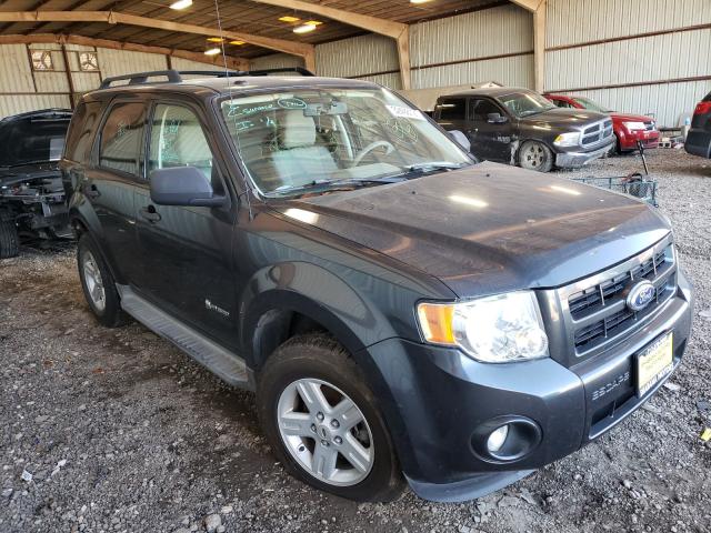 Ford Escape hyb (2010)