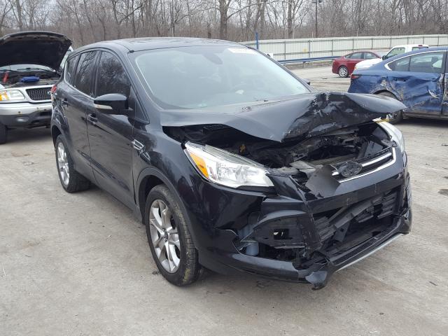 Ford Escape sel (2013)