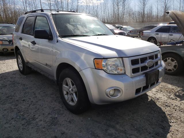 Ford Escape hyb (2010)