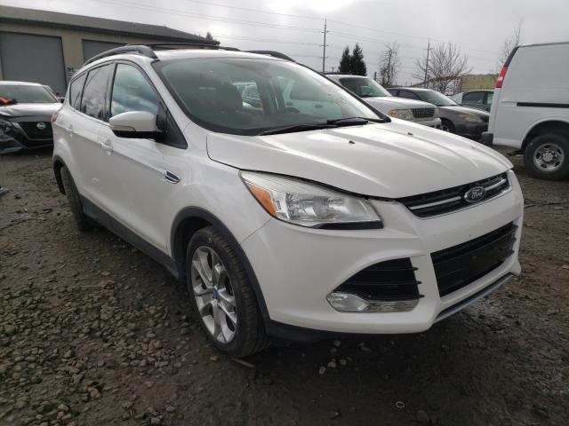 Ford Escape sel (2013)