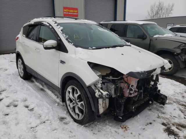 Ford Escape tit (2015)
