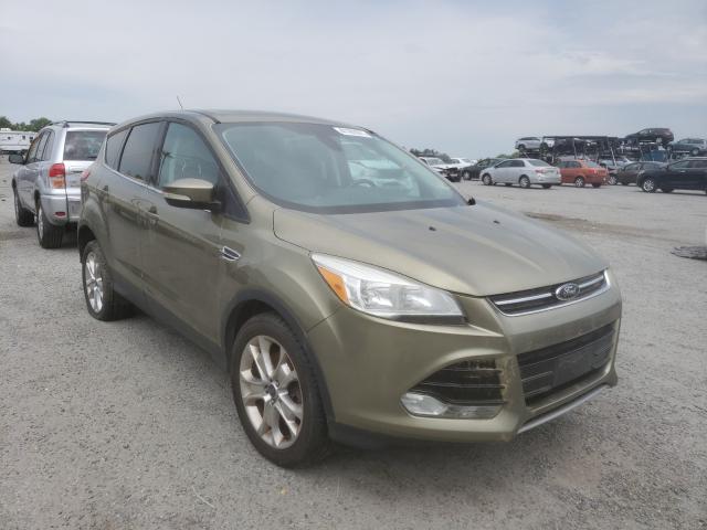 Ford Escape sel (2013)