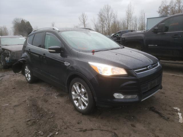Ford Escape tit (2014)