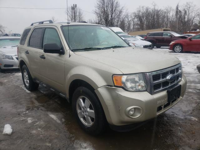 Ford Escape xlt (2010)