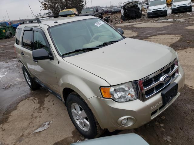 Ford Escape xlt (2011)