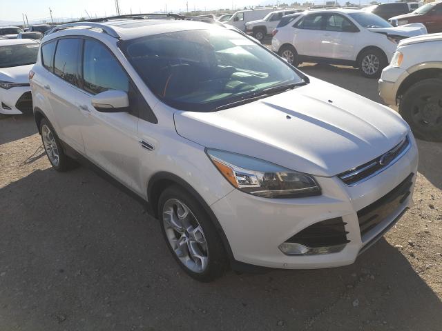 Ford Escape tit (2013)