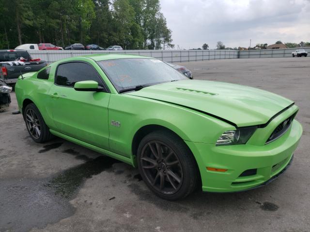Ford Mustang gt (2014)