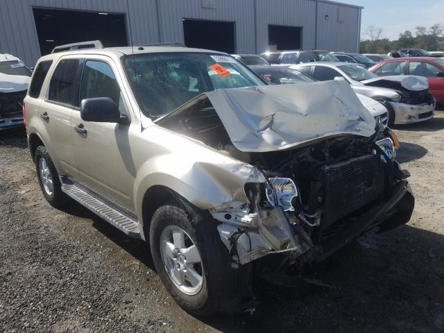 Ford Escape xlt (2010)