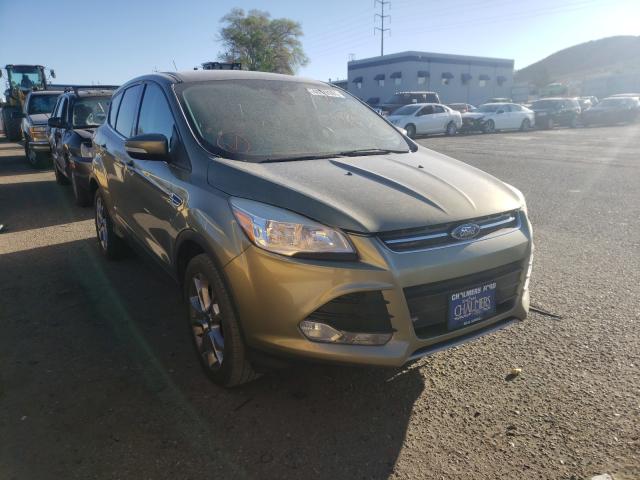 Ford Escape sel (2013)