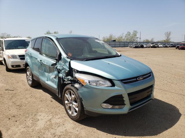 Ford Escape sel (2013)