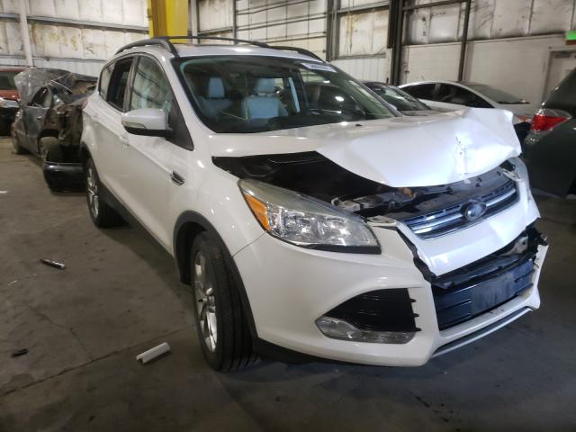 Ford Escape sel (2013)