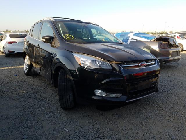 Ford Escape tit (2014)