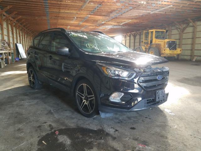 Ford Escape sel (2019)