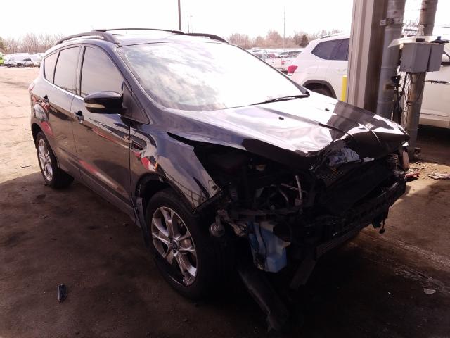 Ford Escape sel (2013)