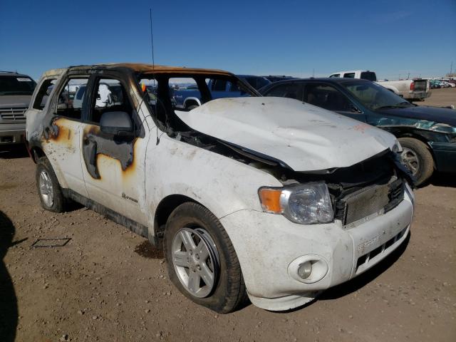 Ford Escape hyb (2010)