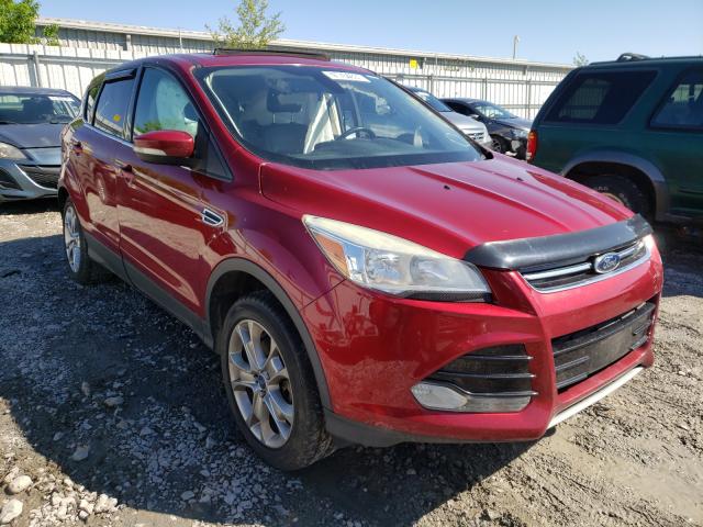 Ford Escape sel (2013)