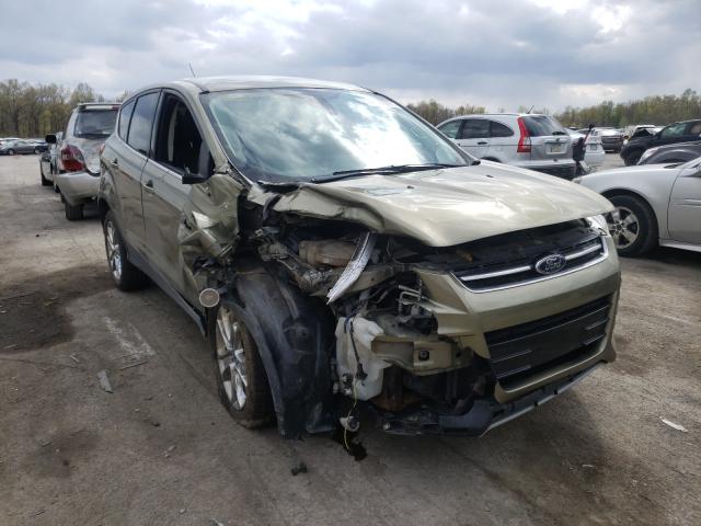 Ford Escape sel (2013)