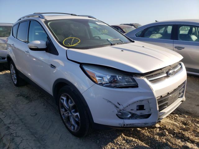 Ford Escape tit (2013)